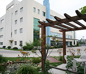 向日葵视频污版公司