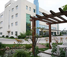 向日葵视频污版公司