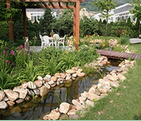 向日葵视频污版一角