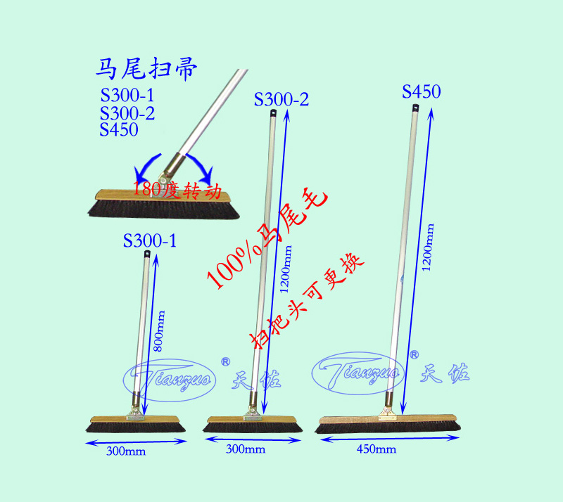 馬尾掃帚 馬尾掃帚